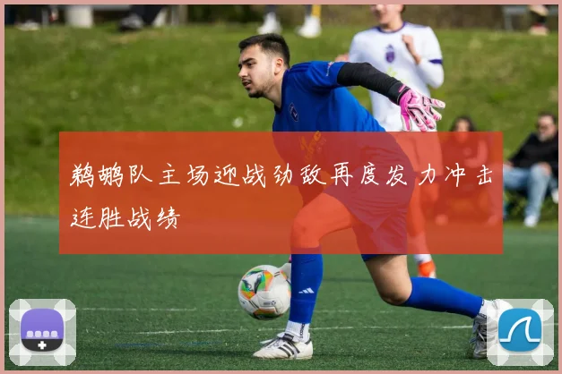 鹈鹕队主场迎战劲敌再度发力冲击连胜战绩