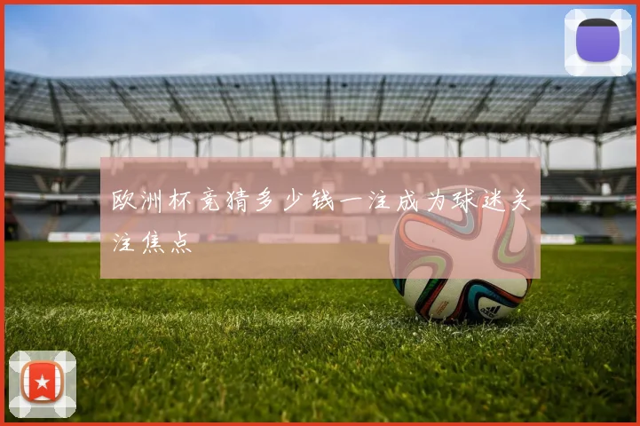 欧洲杯竞猜多少钱一注成为球迷关注焦点