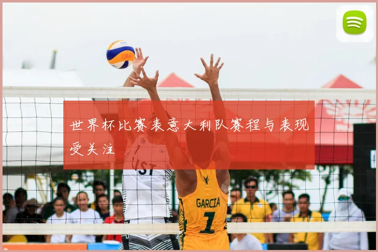 世界杯比赛表意大利队赛程与表现受关注