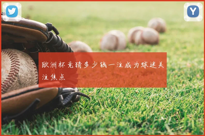 欧洲杯竞猜多少钱一注成为球迷关注焦点